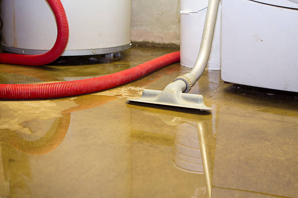 Professional Water damage restoration in Struthers, OH